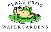 Peace Frog Water Gardens Logo